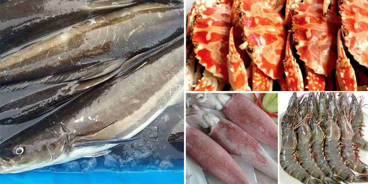 01 ngay kham pha dao diep son nha trang 2