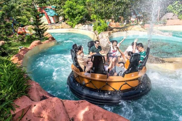 Combo VinWonders - Safari