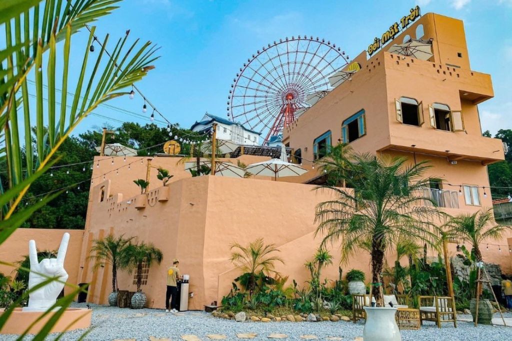 Đồi Hoa Mặt Trời - Hạ Long