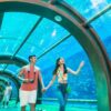 Vinpearl Resort & Golf (Sheraton Phú Quốc) - Vinwonders Grand World (2)