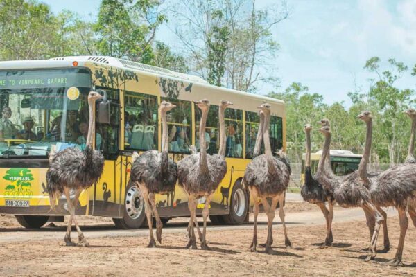 Safari Vinpearl Phú Quốc