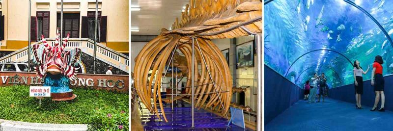 Tham quan Bảo tàng Viện hải dương học Nha Trang