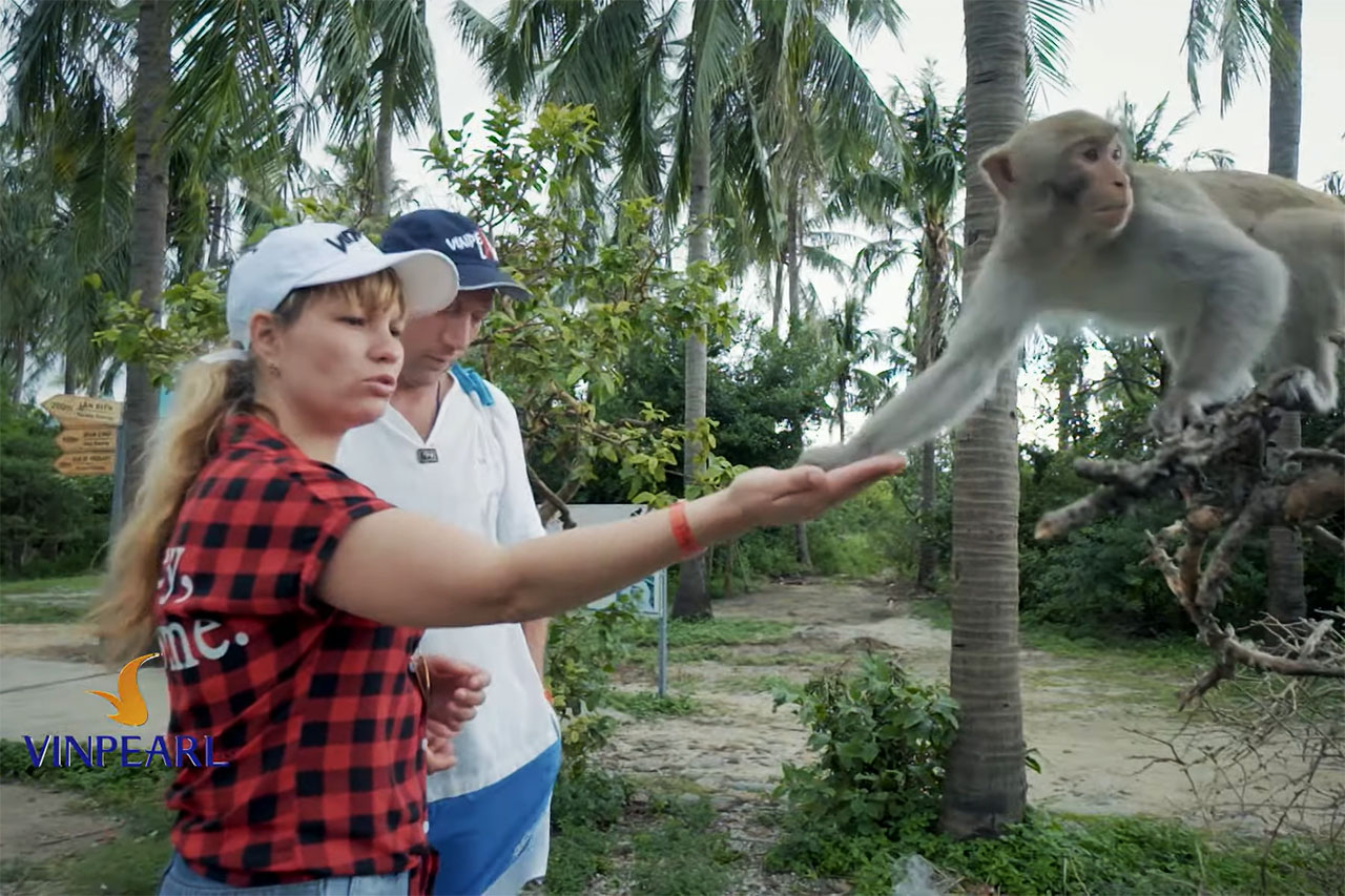 cac diem tham quan tai nha trang 11