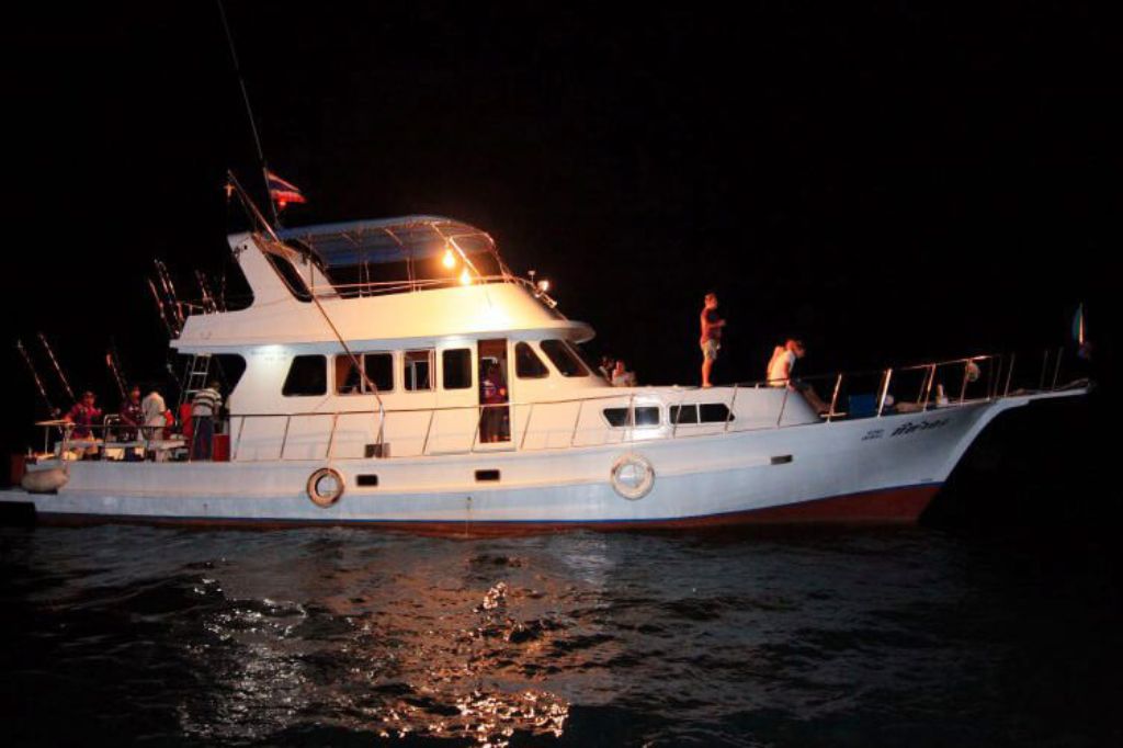 câu mực đêm phú quốc