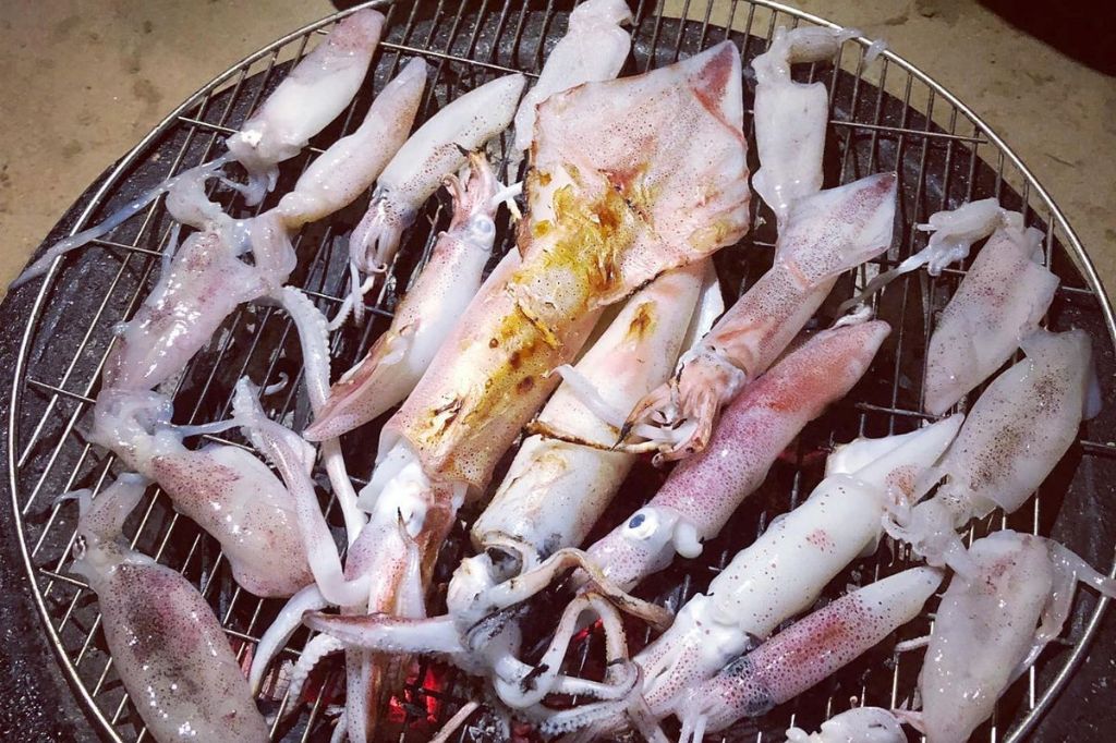 câu mực đêm phú quốc