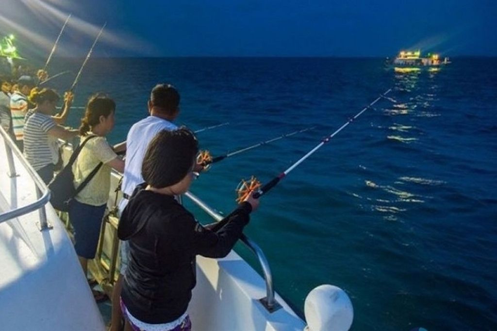 câu mực đêm phú quốc