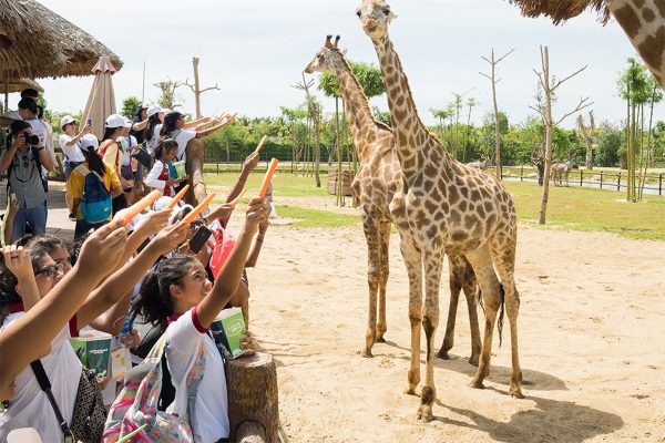 Combo Vinpearl Nam Hội An [Family Package 3N2Đ]