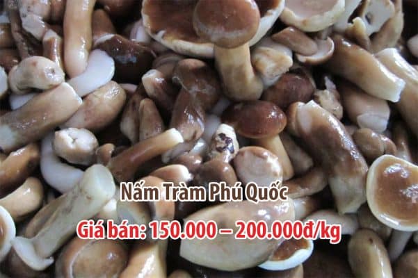 di vinpearl phu quoc mua dac san gi