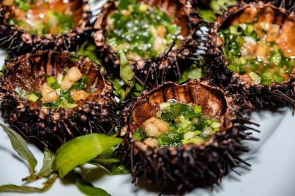 nhum biển phú quốc