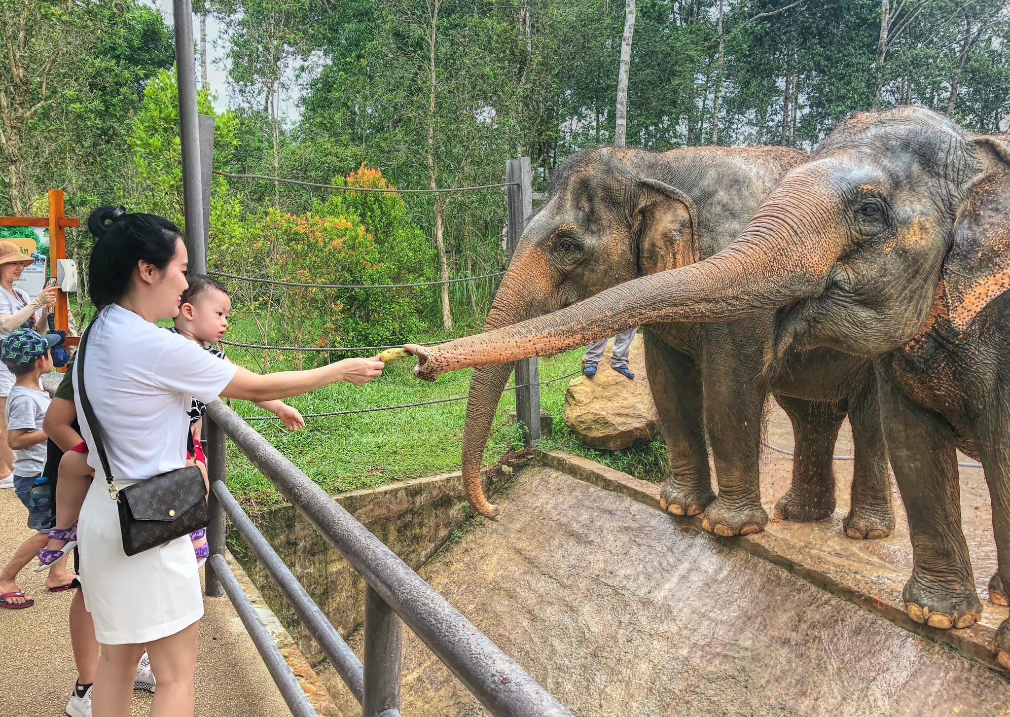 safari phú quốc