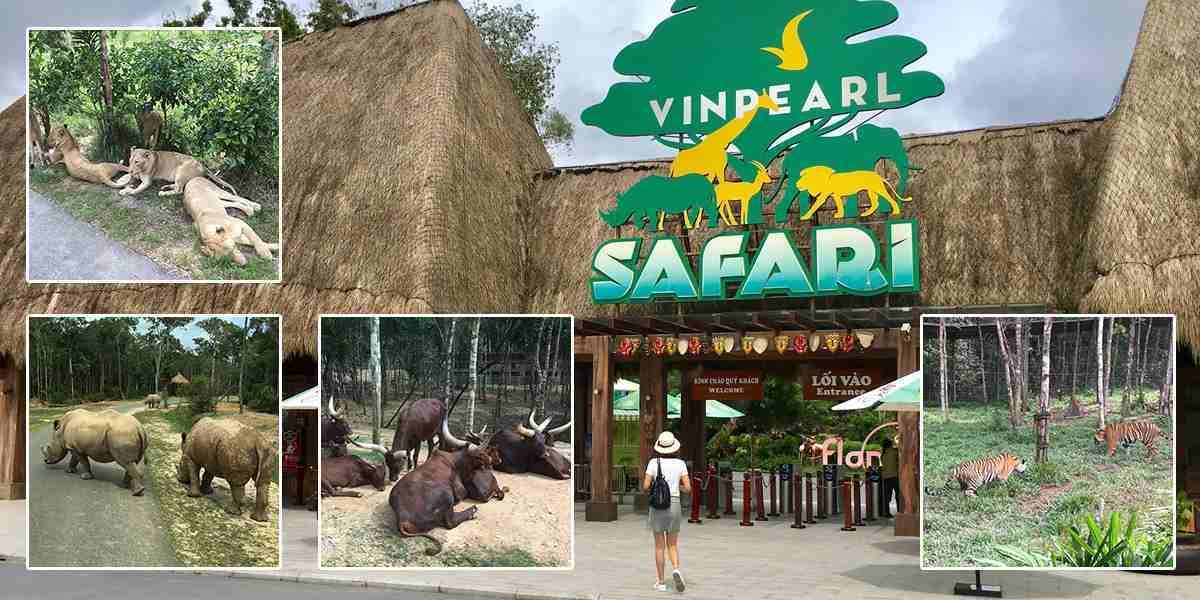 ☀️Combo VinOasis Phú Quốc 3N2Đ (🍽️Buffet sáng + 🚍Đón tiễn sân bay) ☀️Combo VinOasis Phú Quốc 3N2Đ (🍽️Buffet sáng + 🚍Đón tiễn sân bay)