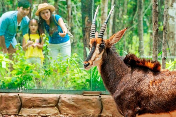 tet nam nay co gi hap dan o vinpearl phu quoc 3