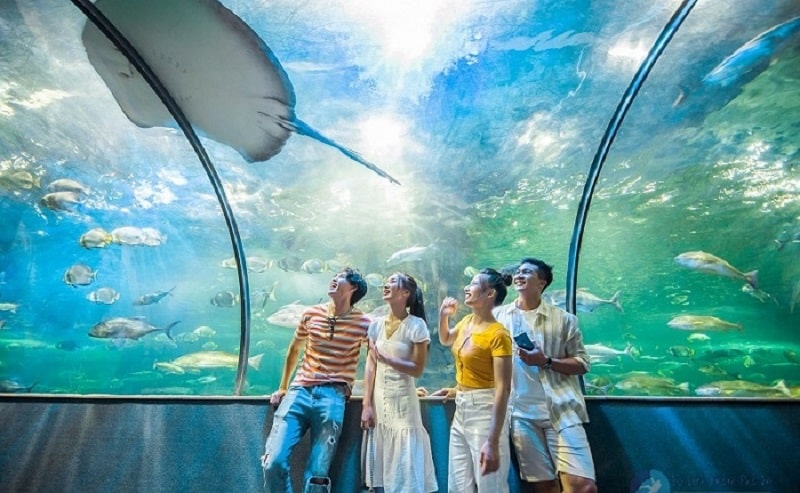 Sea World tại VinWonders Nha Trang