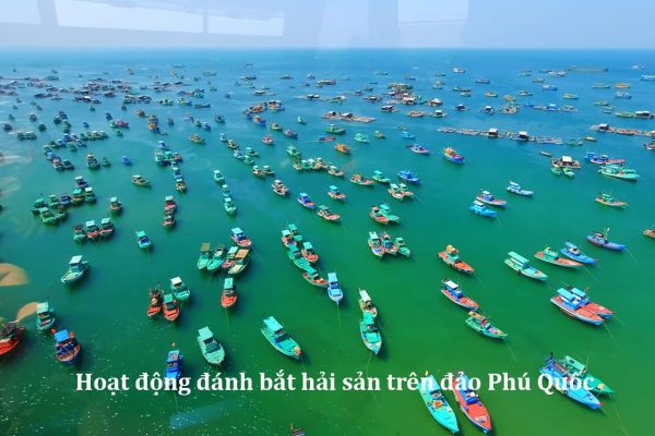 top 6 dia chi thuong thuc hai san ngon re nhat phu quoc