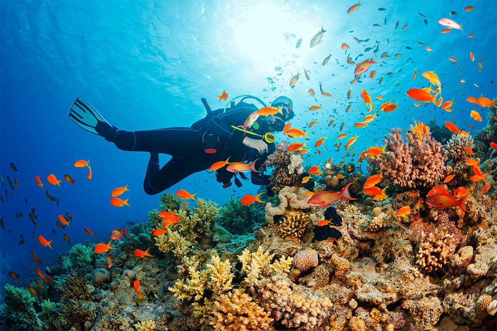 tu vinpearl phu quoc di cap treo ra dao hon thom nhu the nao 4