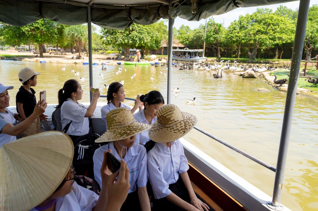 vinwonders nam hoi an gia dinh va tre em (3)