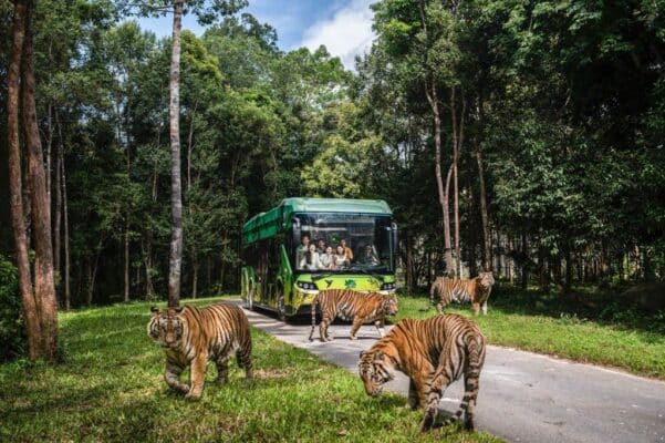 vinwonders nha trang