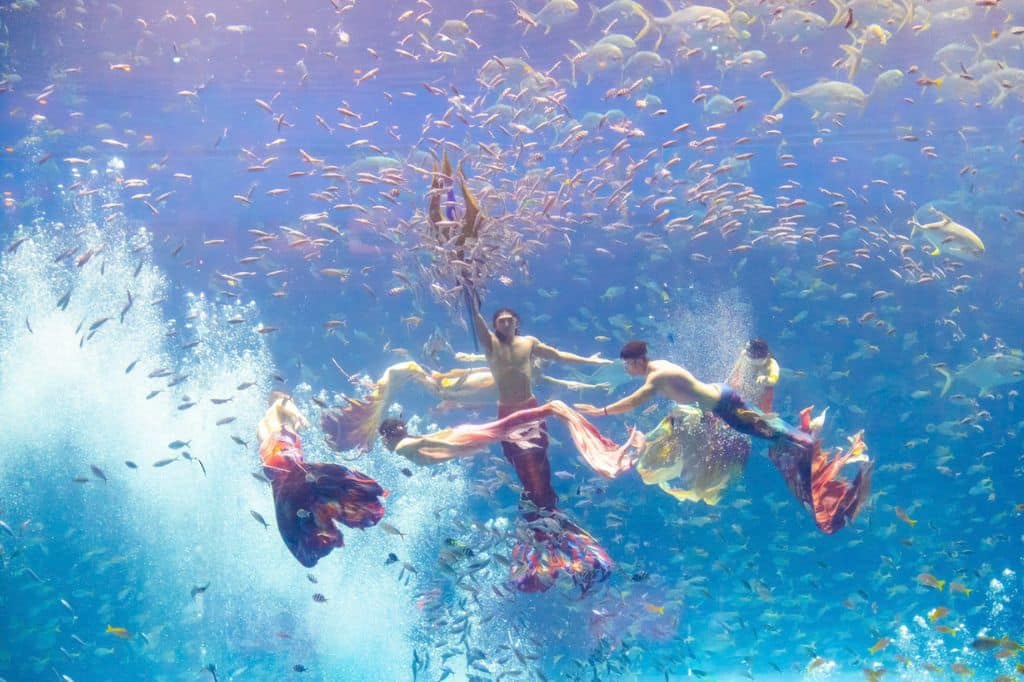 vinwonders nha trang