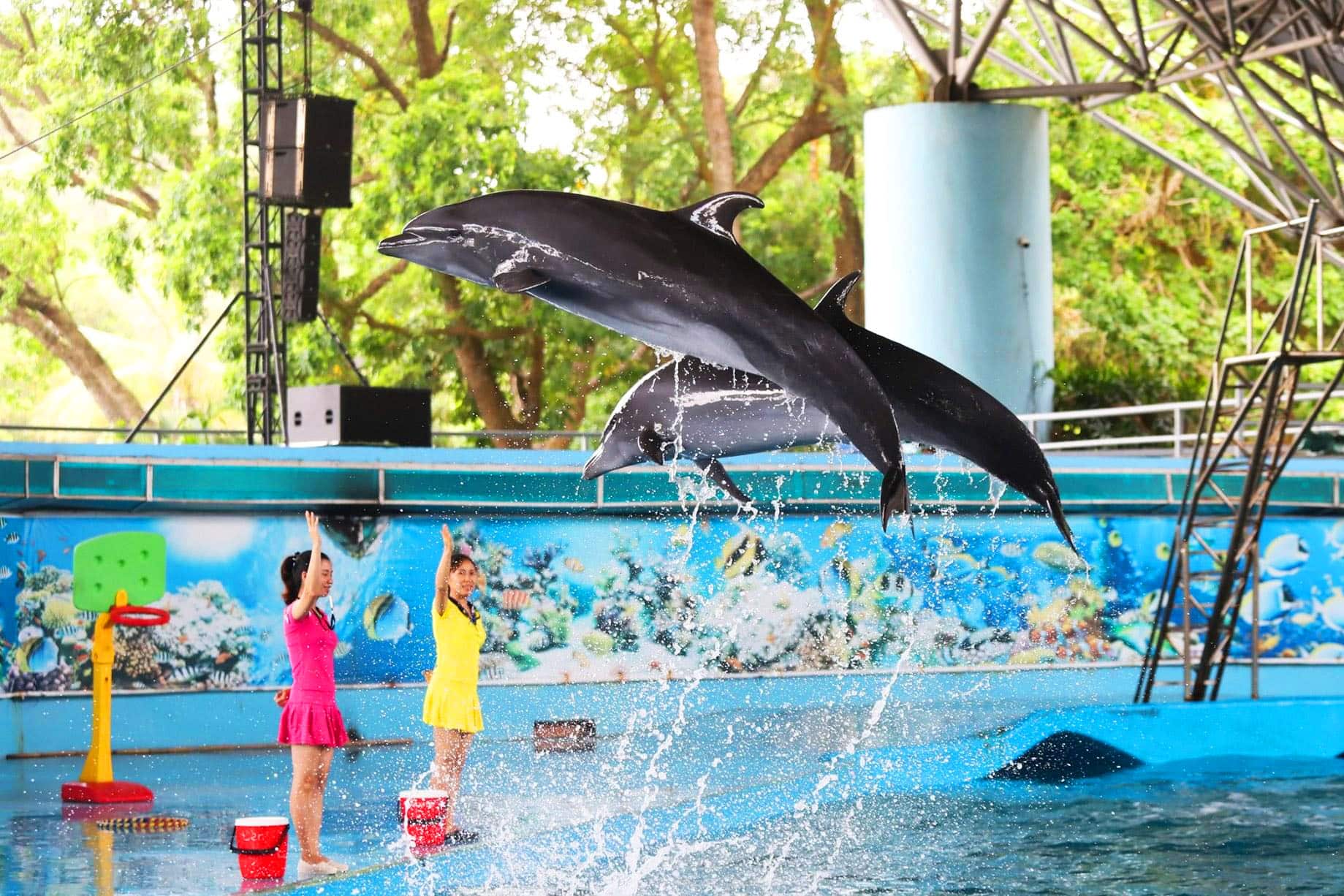 Vui chơi ở Hạ Long